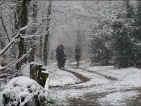 Les Landes under snow