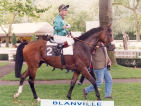 BLANVILLE  :   le courageux