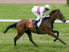 CAPRICE MEILL :  la petite crevette