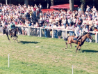 CASTEL RENARD